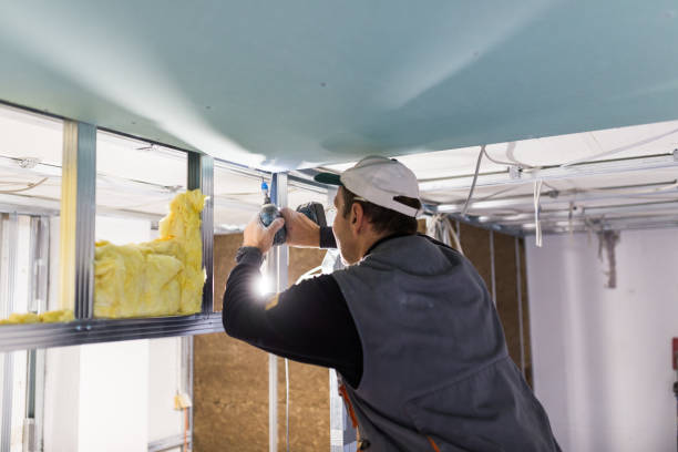 Best Insulation for Specific Applications in Roebuck, SC