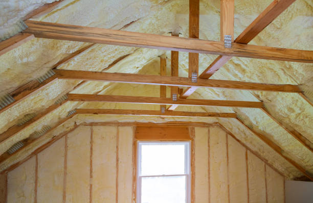 Best Types of Insulation in Roebuck, SC