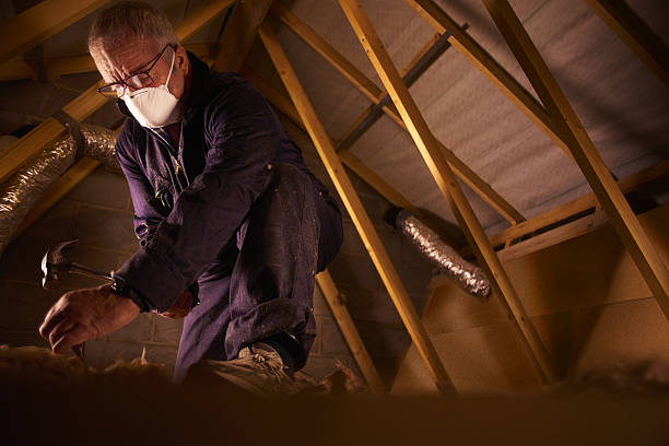Best Insulation for Specific Applications in Roebuck, SC